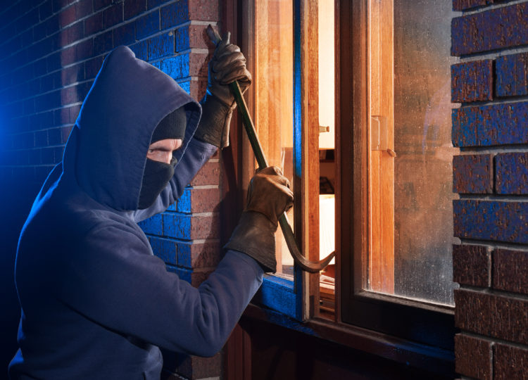 How Do Burglars Choose which House to Break Into?